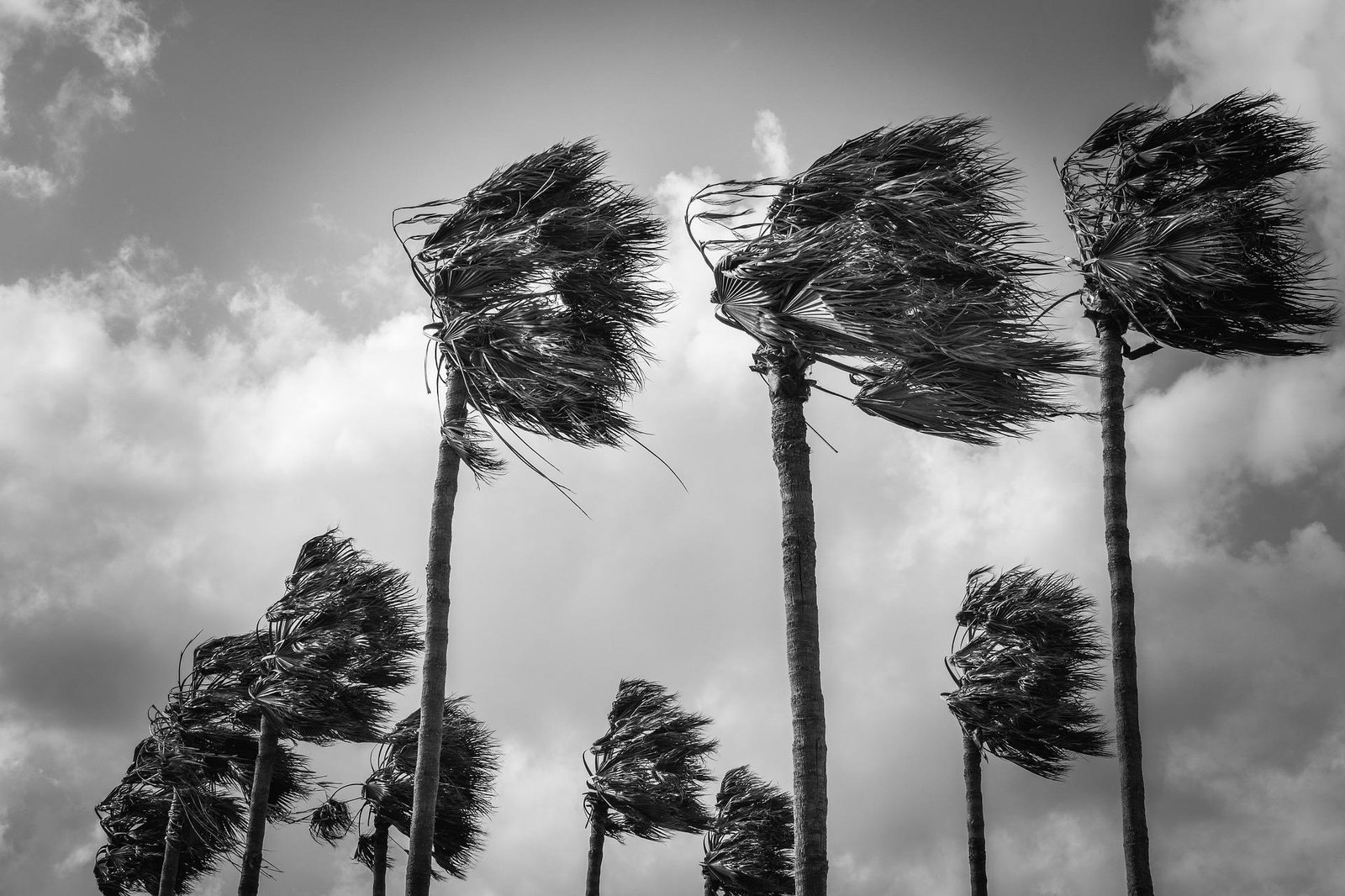 Resilience