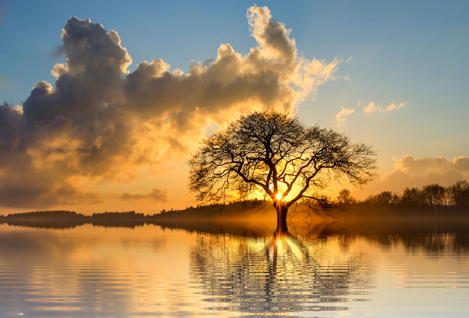 Religion/Spirituality & Self-Compassion for Optimal Well-Being